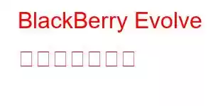 BlackBerry Evolve 携帯電話の機能