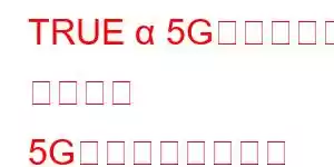 TRUE α 5G（トゥルー アルファ 5G）携帯電話の特長