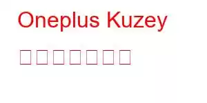 Oneplus Kuzey 携帯電話の機能