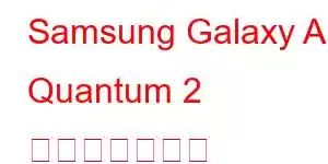 Samsung Galaxy A Quantum 2 携帯電話の機能