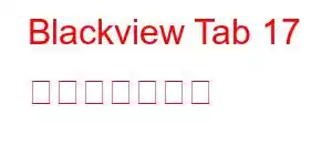 Blackview Tab 17 携帯電話の機能